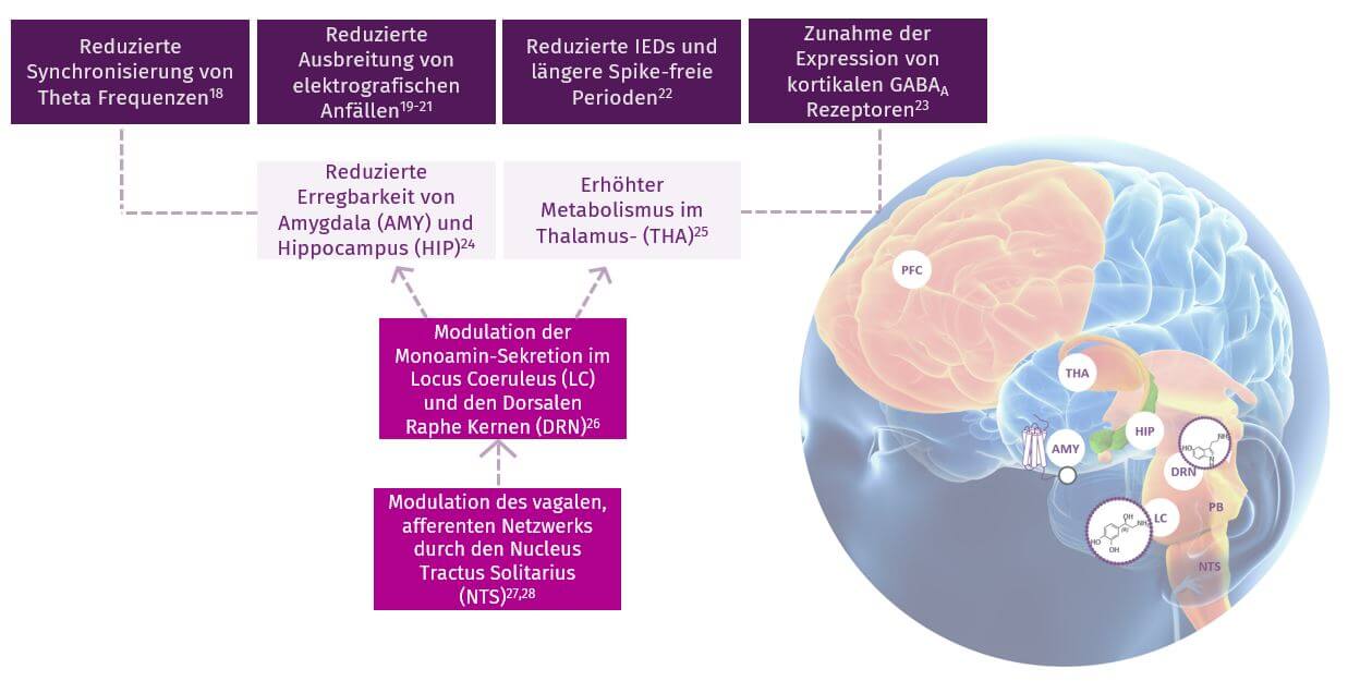 MOA-(2).JPG